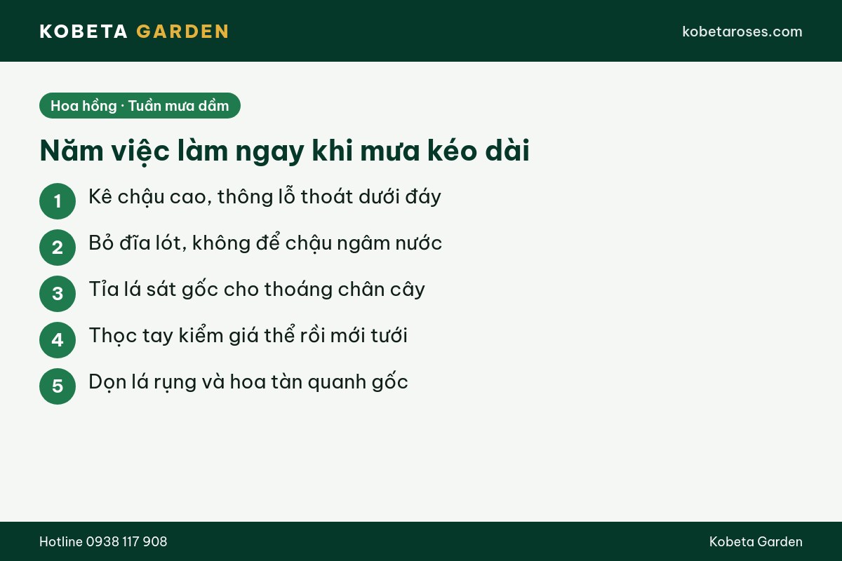 Hình ảnh bài viết