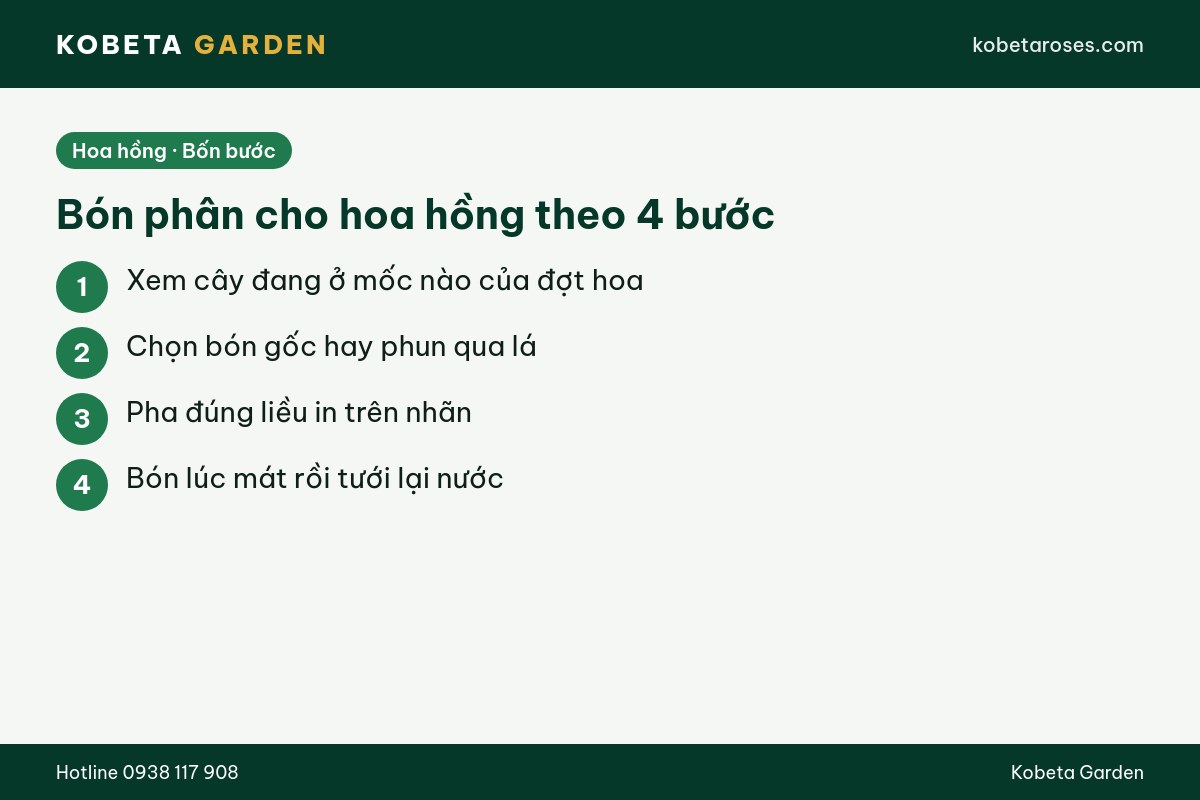Hình ảnh bài viết