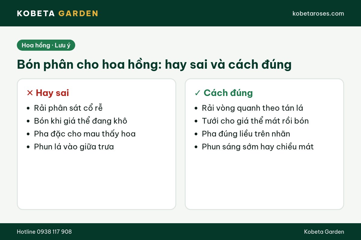 Hình ảnh bài viết