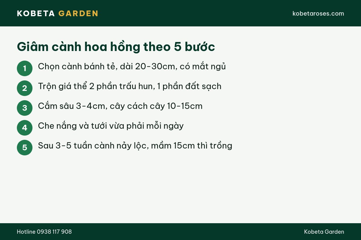 Hình ảnh bài viết