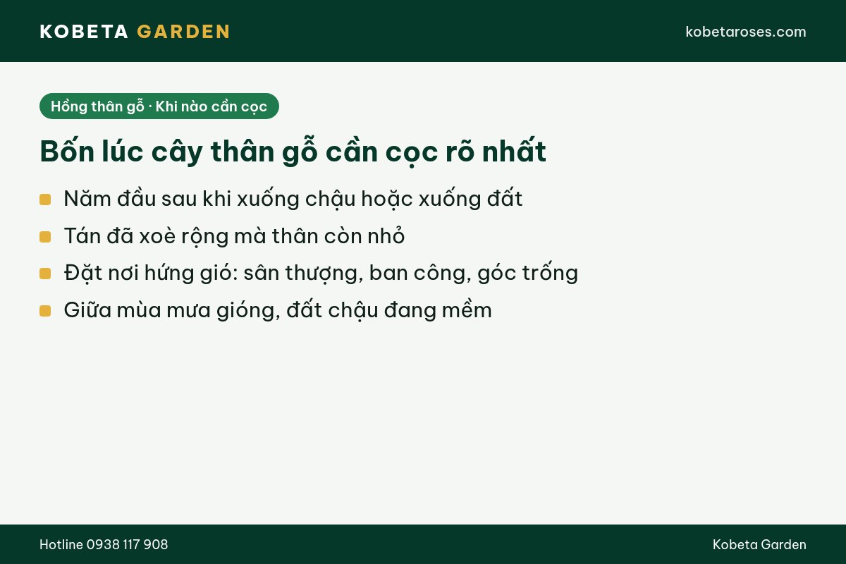 Hình ảnh bài viết